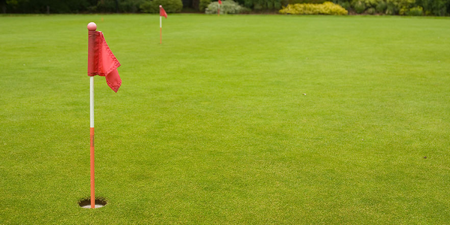 الفناء الخلفي putting green