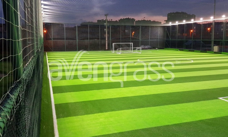 Which Artificial Grass is Used in Football Fields?