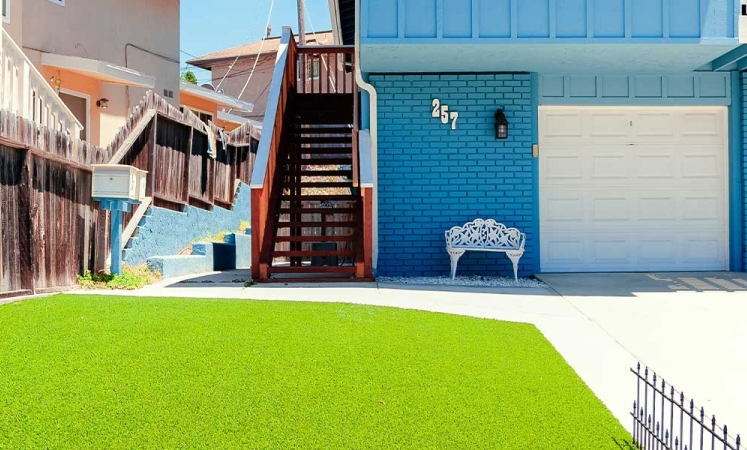 Redesign Your Garden with Decorative Grass