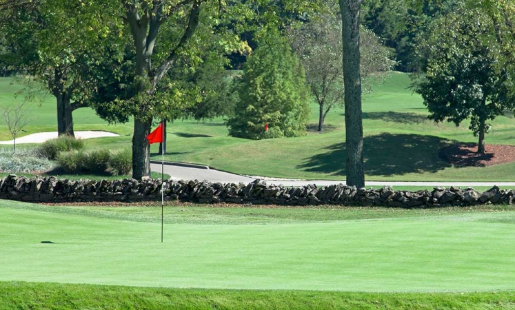 Combien Coûte La Mise En Place D'un Putting Green ?