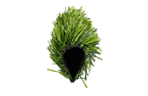 Duograss