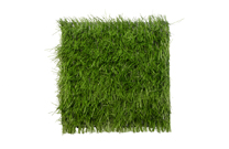 Hybrid Turf