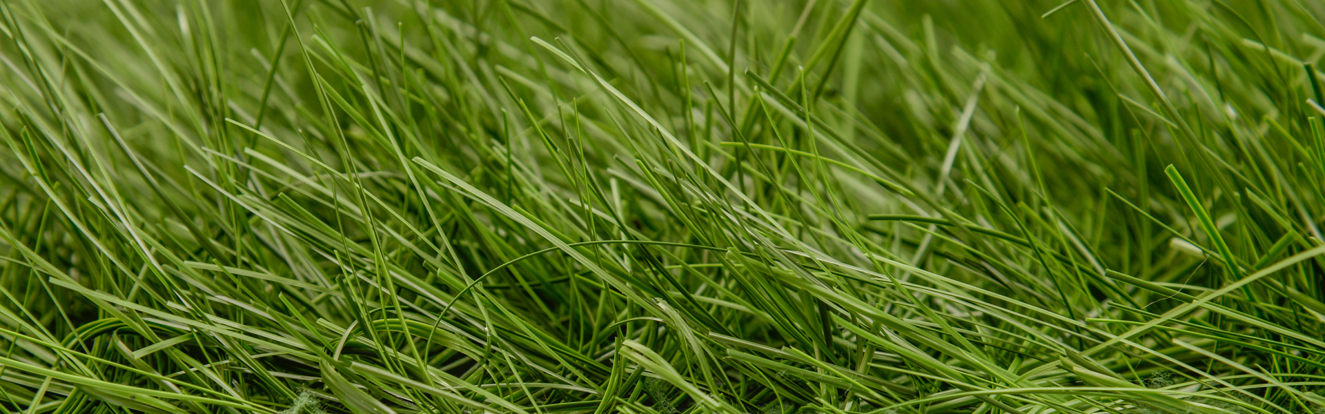 تكلفة إنتاج العشب الاصطناعي الهجين