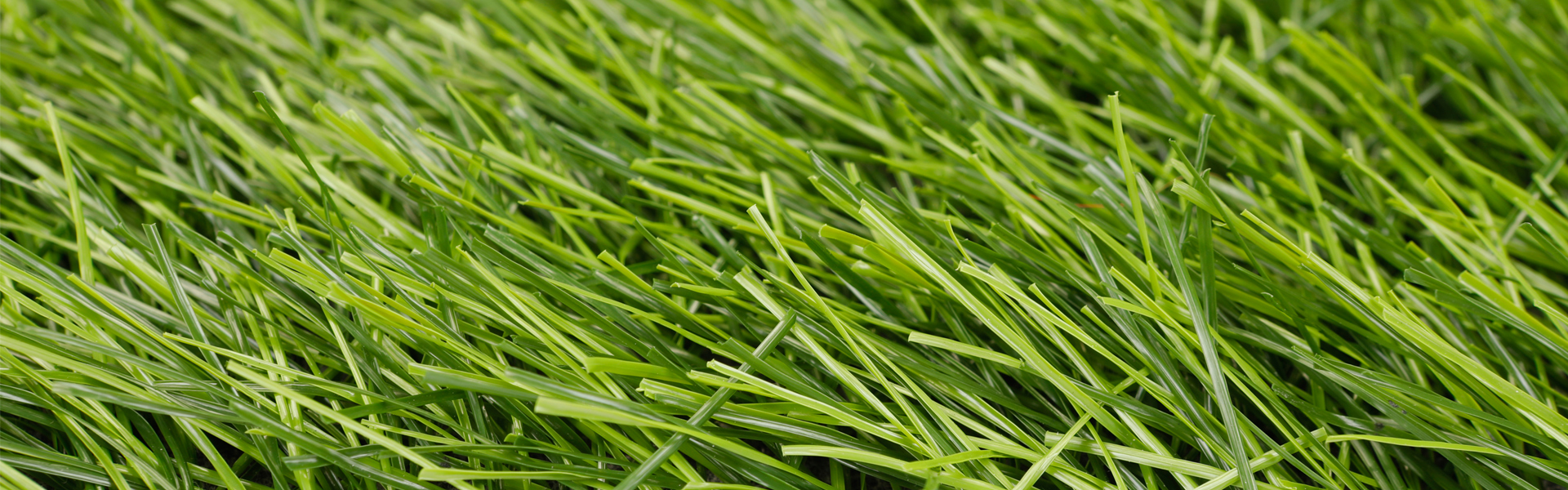 Costo para la producción de césped artificial PowerGrass